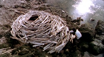 Rivers and Tides (2001) download